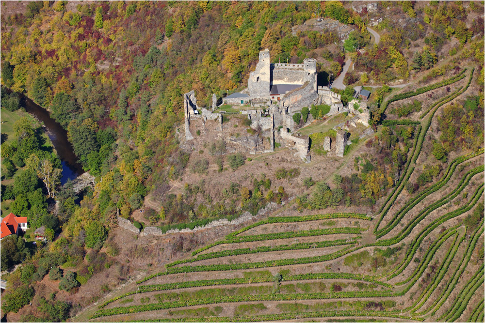 Ruine Senftenberg