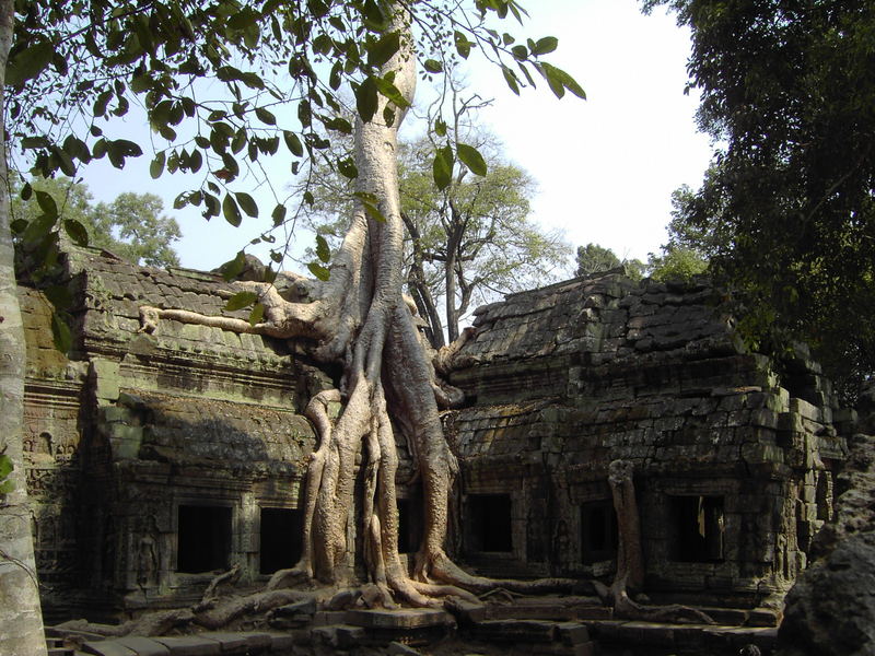 Ruine Siem Reap - Angkor Wat - Cambodia