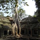 Ruine Siem Reap - Angkor Wat - Cambodia