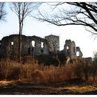 Ruine Spilberg