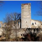 Ruine Spilberg