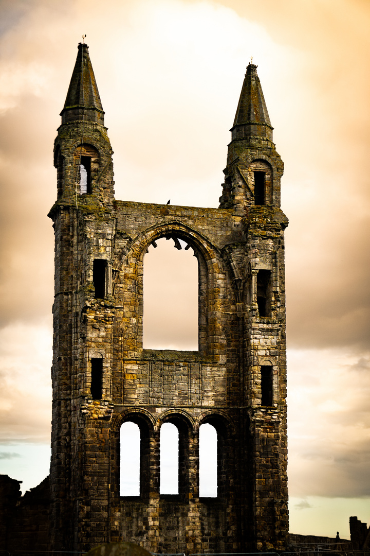 Ruine St. Andrews Cathedral Schottland 