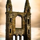 Ruine St. Andrews Cathedral Schottland 