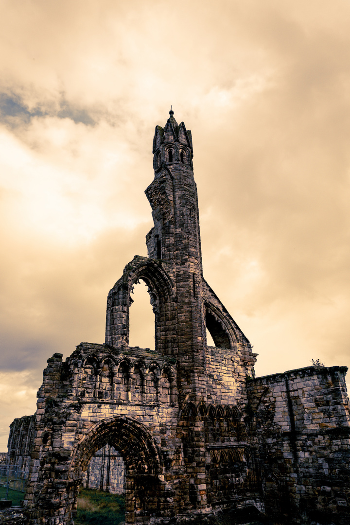 Ruine St. Andrews Schottland