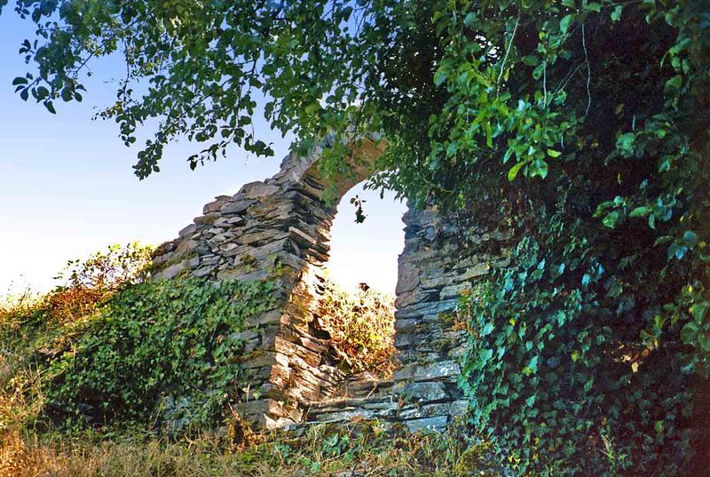 Ruine Stakenburg/Mosel