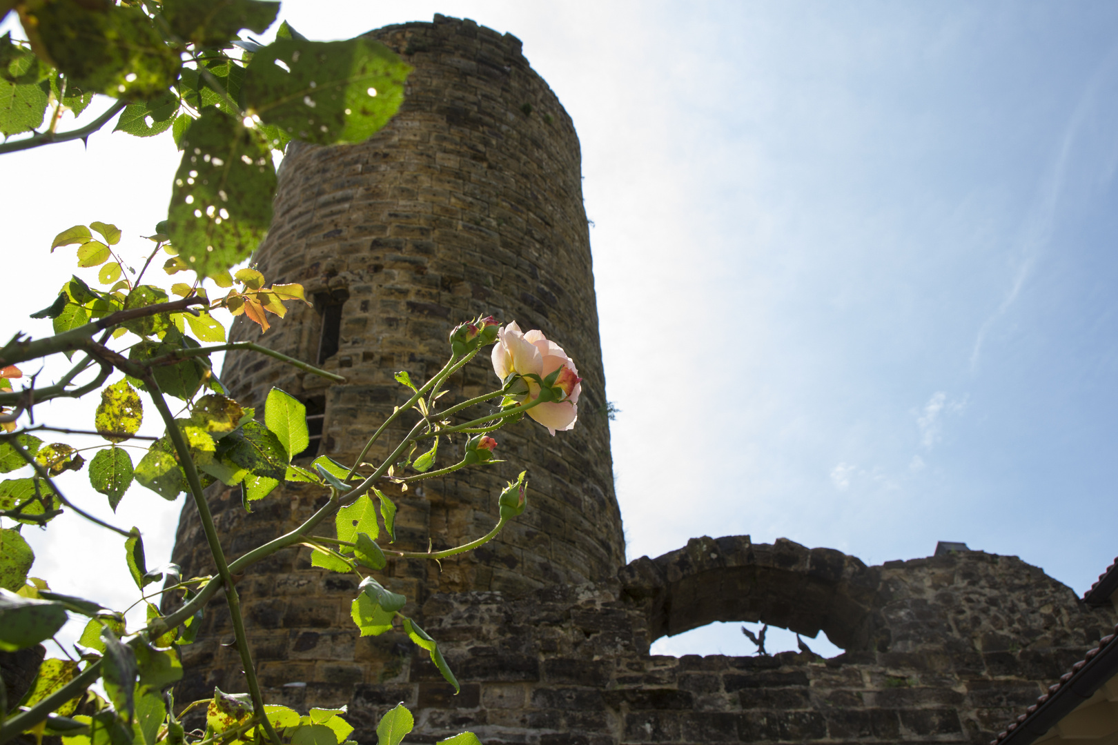 Ruine Staufeneck