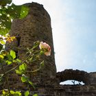 Ruine Staufeneck