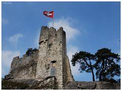 Ruine Stein