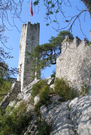 Ruine Stein