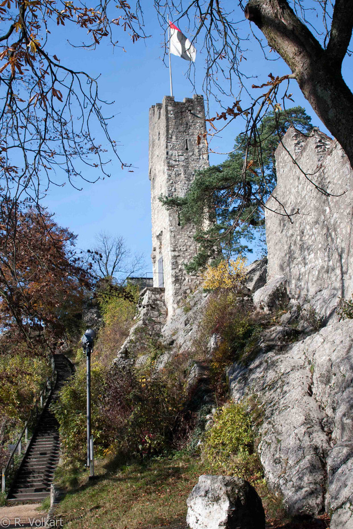 Ruine Stein