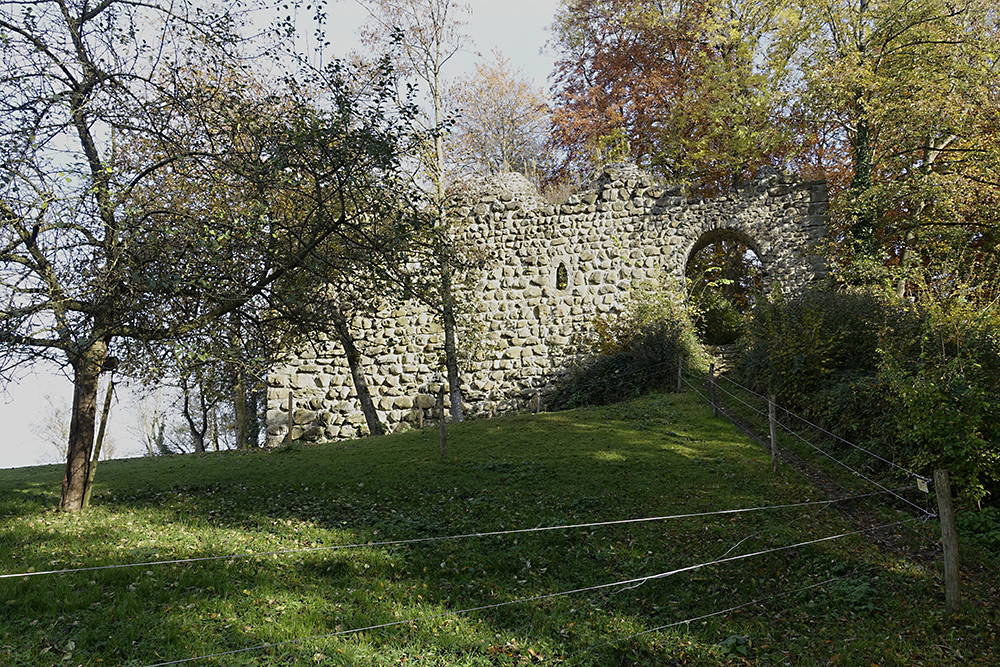 Ruine Steinerburg