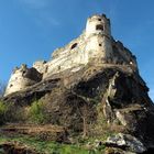 Ruine Steinschloß