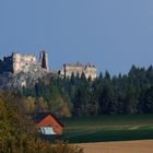 Ruine Steinschloß