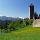 Ruine Strassberg