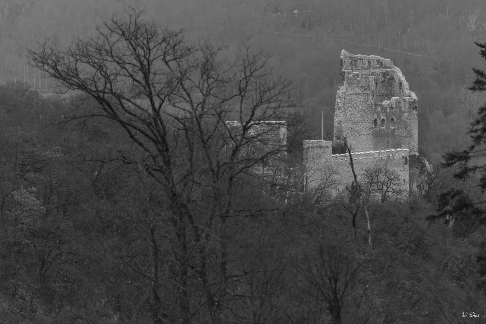 Ruine Süd-West