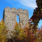 Ruine Thürndl 1...