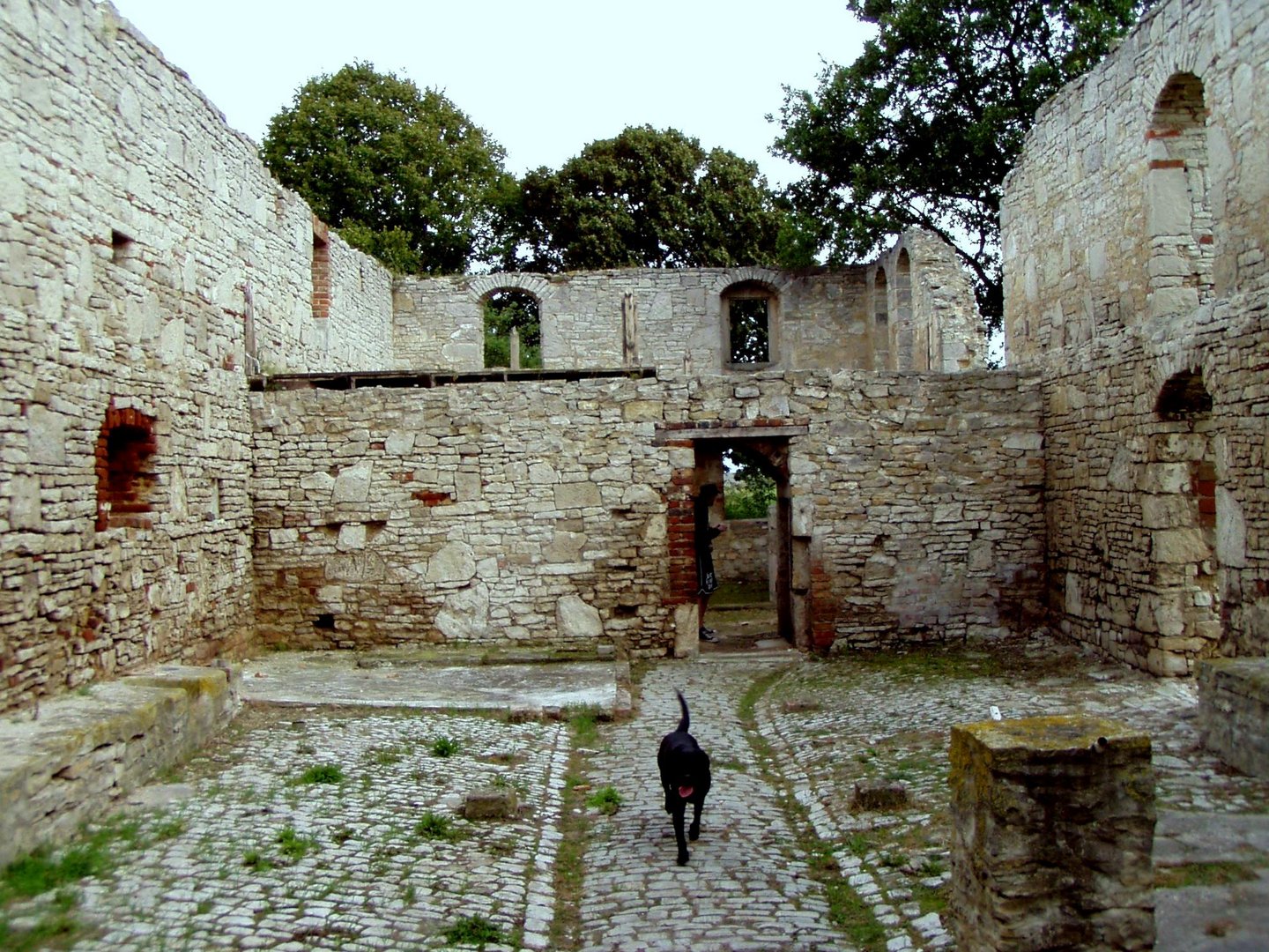 Ruine Toppendorf bei Balgstädt