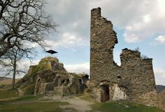 Ruine und Burgfried