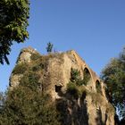 Ruine und Vegetation [ 02 ]