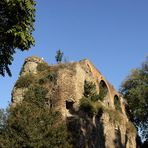 Ruine und Vegetation [ 02 ]