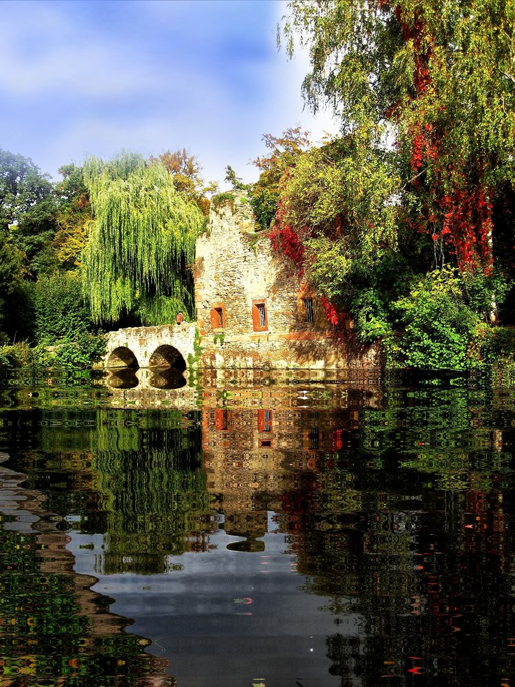 Ruine und Wasser im Schöntal