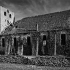 Ruine von St. Sebastian in Bisdorf