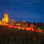 Ruine Wachtenburg