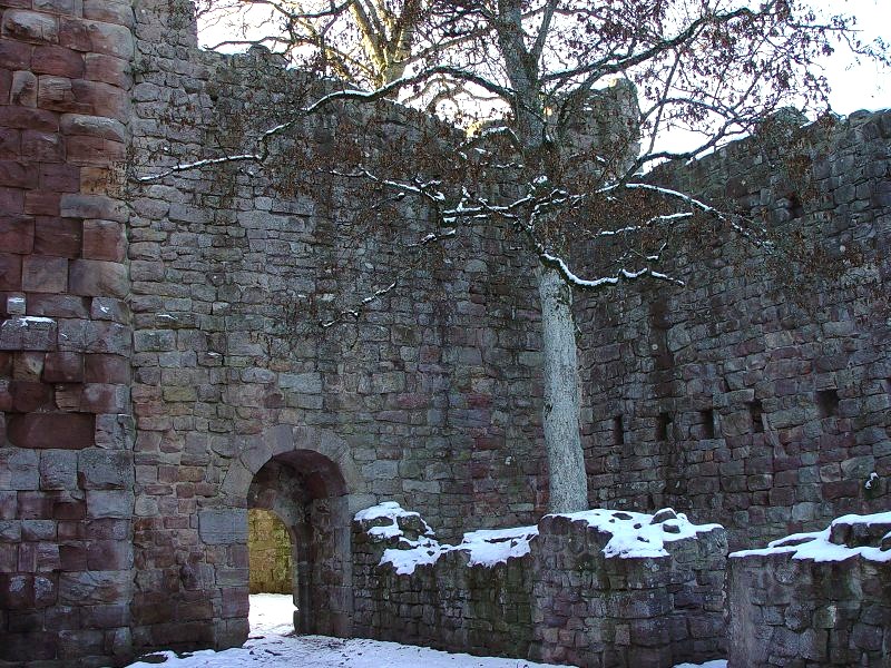 Ruine Waldau bei Königsfeld