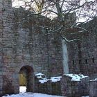 Ruine Waldau bei Königsfeld