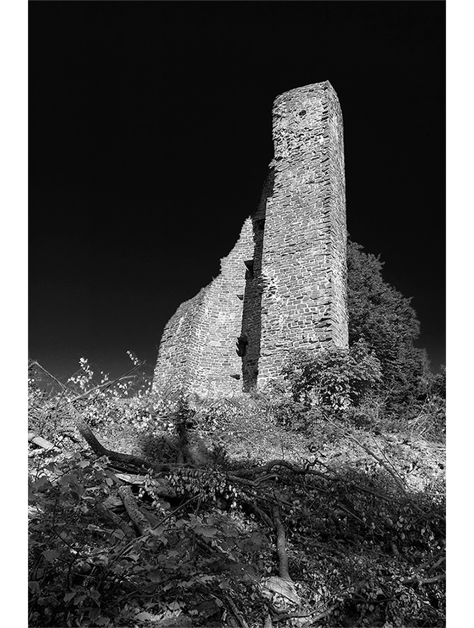 Ruine Waldenburg 01