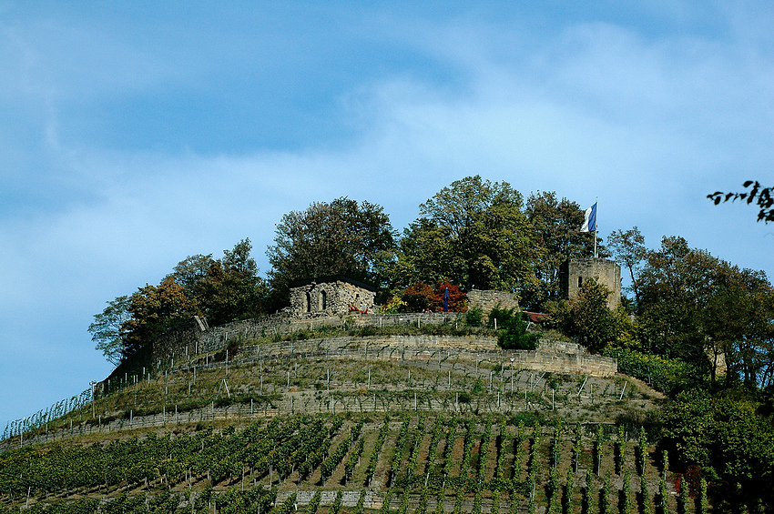 Ruine Weibertreu