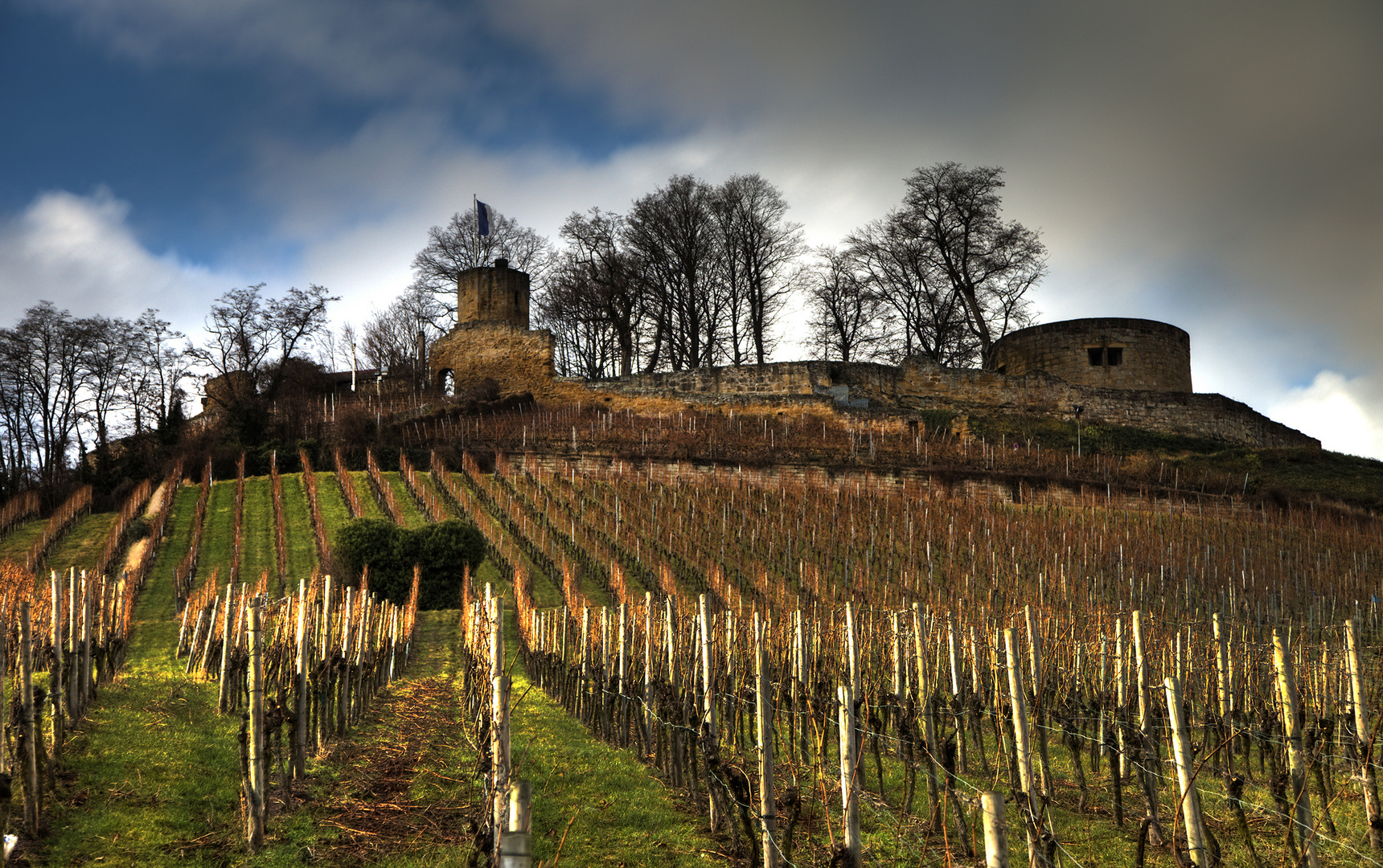 Ruine Weibertreu