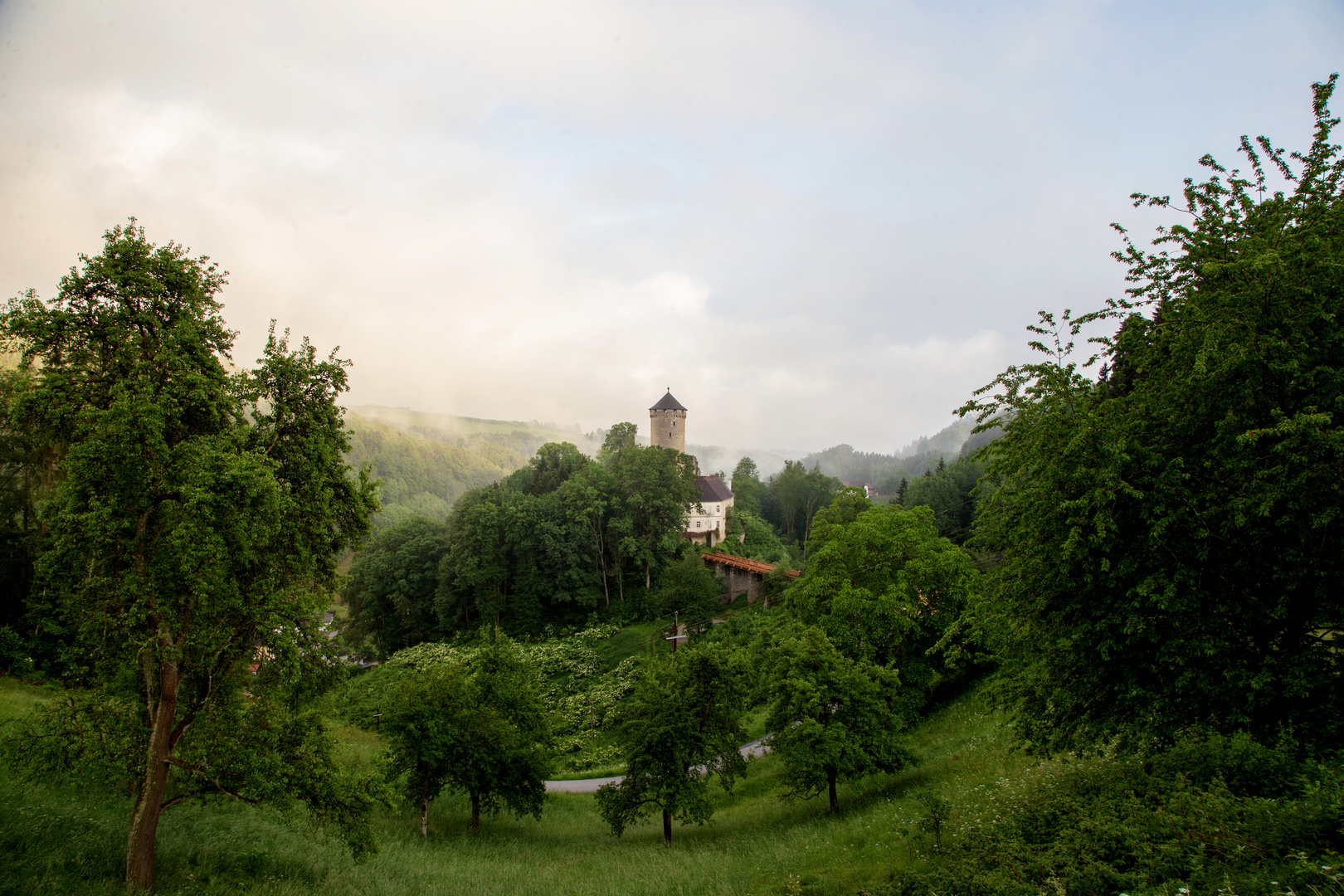 Ruine Wildberg