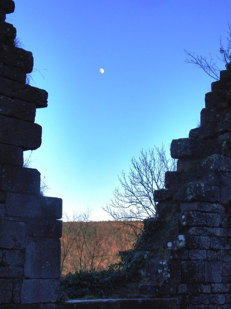 Ruine Wildenburg