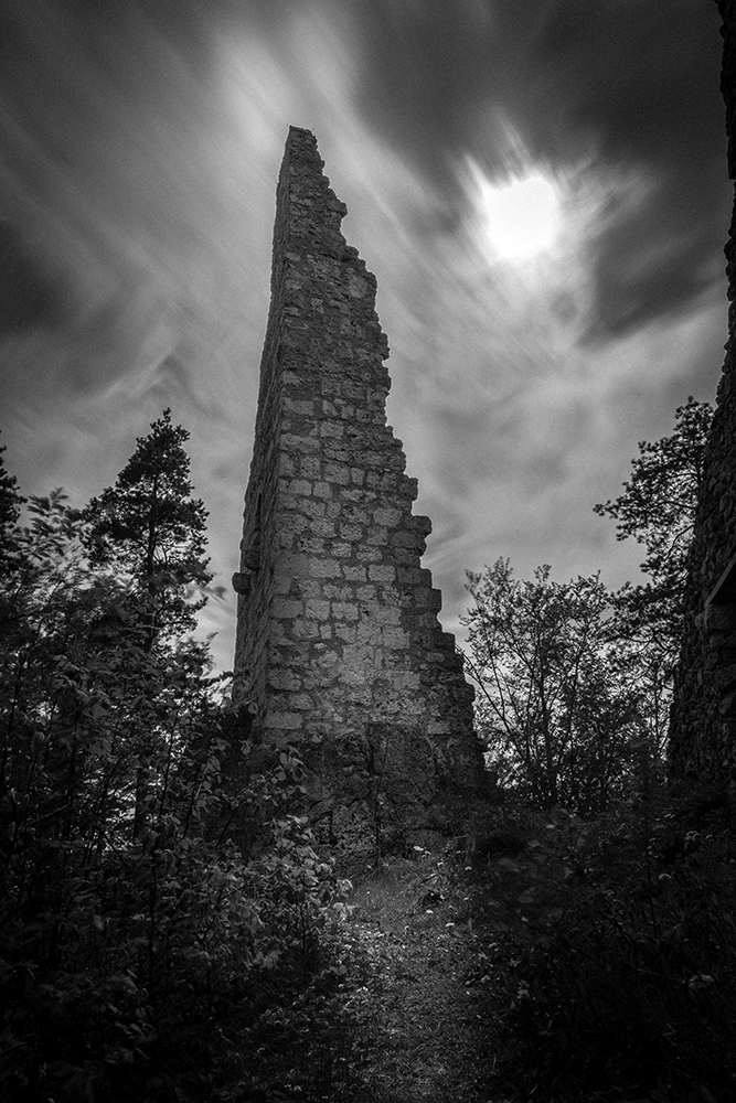 Ruine Wildenfels