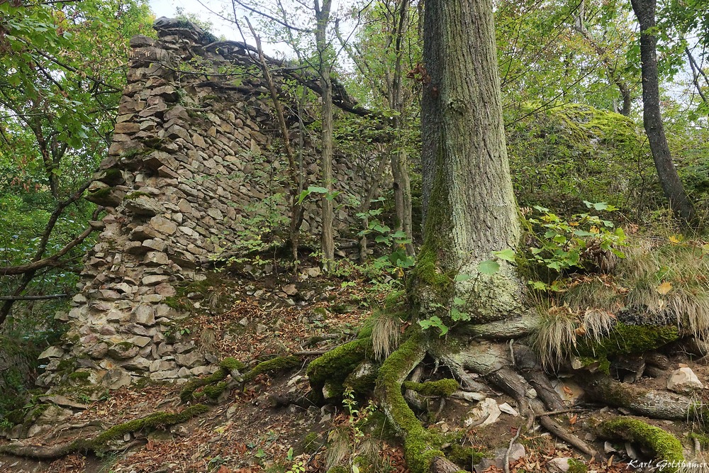 Ruine Wildenstein