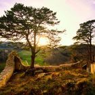 Ruine Witwald, Eptingen