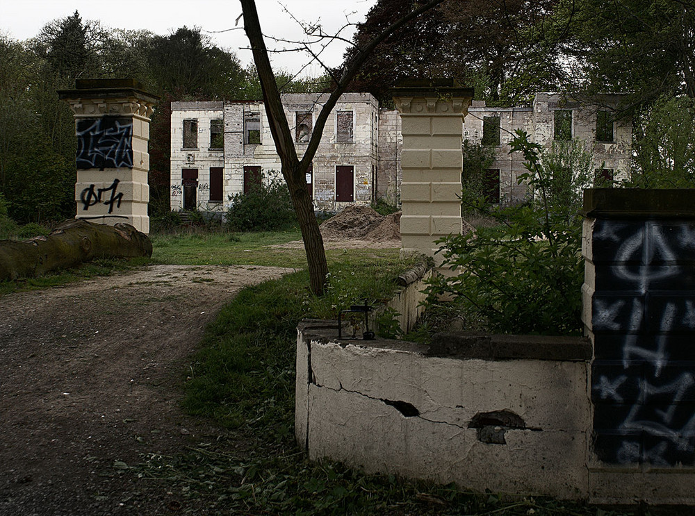 Ruine Wolfskuhlen