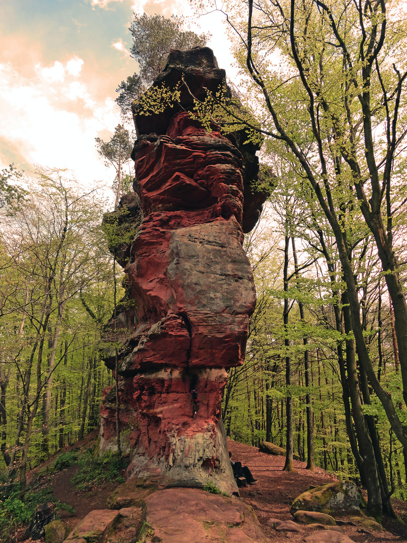 Ruine Zigeunerfelsen (1111.)