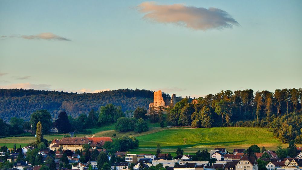 Ruine zu Pfeffingen