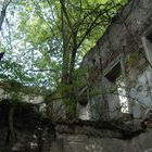 Ruine.72