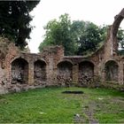 Ruine(n *g*) in Chojna auf einem Soldatenfriedhof