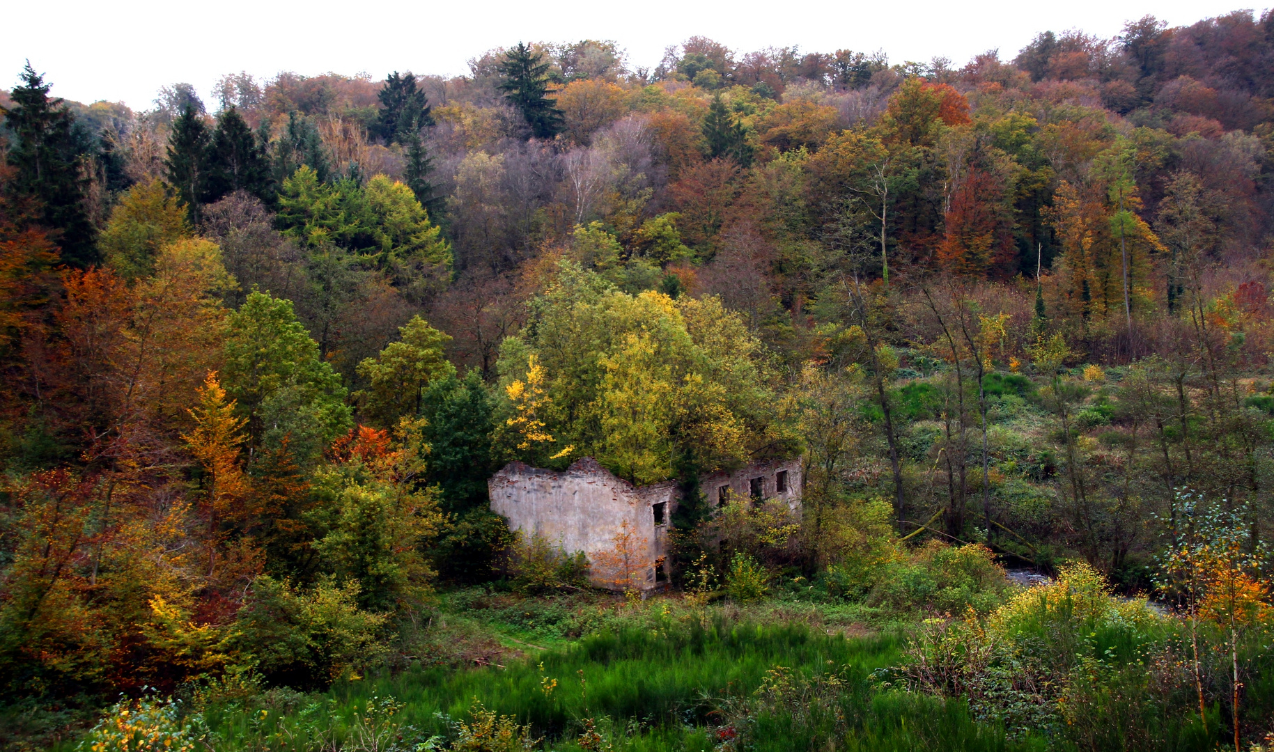 Ruinen im Herbst