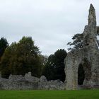 Ruinen/ Ruins in Norfolk - Thetford