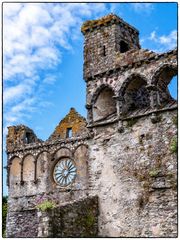 Ruinen vom Bishop's Palace St. Davids #1