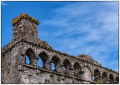 Ruinen vom Bishop's Palace St. Davids #3