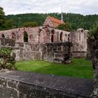 ..Ruinen vom Kloster Hirsau