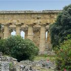 RUINEN VON PAESTUM 2500 JAHRE ALT