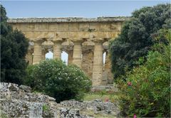 RUINEN VON PAESTUM 2500 JAHRE ALT