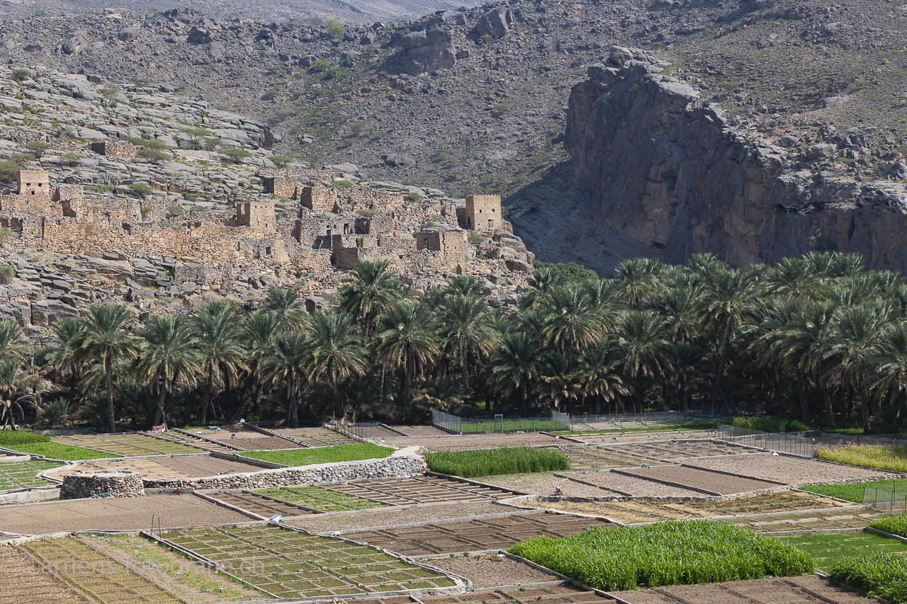Ruinen von Riwaygh as-Safil